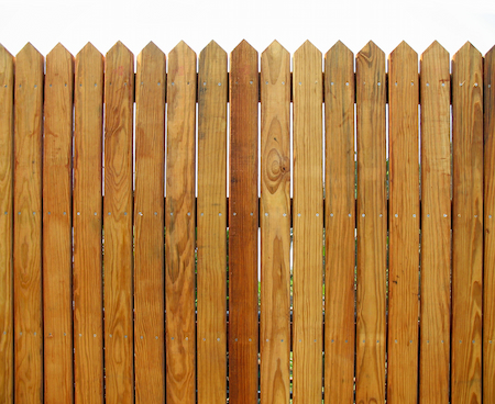 Fence Cleaning